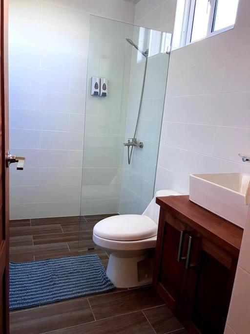 Апартаменты Magnificent Pent House W/Jacuzzi Сантьяго-де-лос-Кабальерос Экстерьер фото